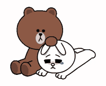 cony brown and bear sad cry crying