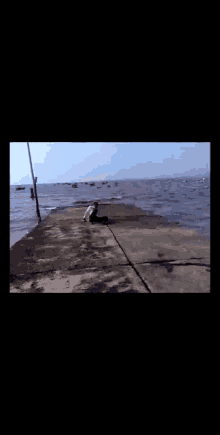 Running On The Edge GIF - Running On The Edge Nowhere To Go GIFs