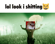 Shitting Cat GIF - Shitting Cat Far Cry 5 GIFs