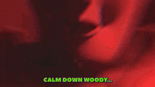 Woody Calmdownwoody GIF - Woody Calmdownwoody Cursed Woody GIFs