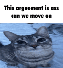 Text Cat Meme GIF - Text Cat Meme Meme Cat GIFs