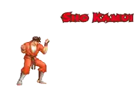 a video game character with the name sho kamui written on the bottom