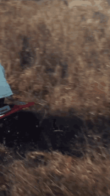 a person is riding a motorcycle through a field of dry grass