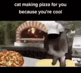 Cat Pizza GIF - Cat Pizza Cool GIFs