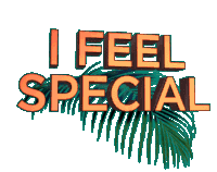 Special Feel Special Sticker - Special Feel Special I Feel Special Stickers