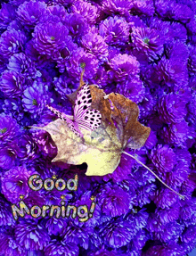 a picture of purple flowers with the words good morning written on it