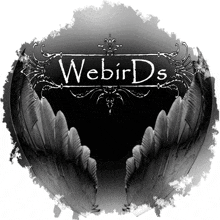 Webirds111 Wb111 GIF - Webirds111 Webirds Wb111 GIFs