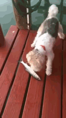 I Don'T Need Water To Fight You! GIF