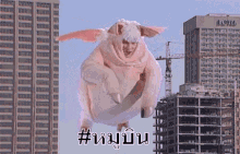 หมูบิน หมูมีปีก GIF - Flying Pig Pig GIFs