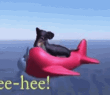 Dog Meme GIF - Dog Meme Singing GIFs