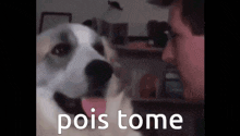 a dog is sniffing a man 's face and the words pois tome are visible in the background .