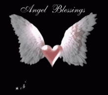 Angel Wings GIF