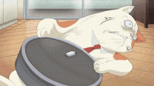 a white and orange cat is holding a vacuum cleaner
