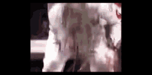 a close up of a person 's torso with blood on it