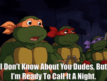 Tmnt Michelangelo GIF