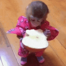 a baby monkey in a pink outfit is eating a piece of apple .