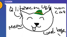 a drawing of an ugly cat with the words meow and good look written on it