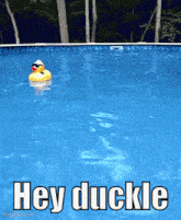Heyduckle GIF - Heyduckle Duckle Hey GIFs
