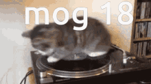 Mog18 Mog GIF - Mog18 Mog Gog18 GIFs