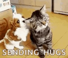 Hugs Hi GIF - Hugs Hi GIFs