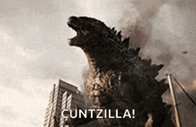 Godzilla Vs GIF - Godzilla Vs GIFs