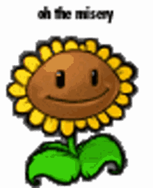 oh the misery oh the misery meme pvz sunflower
