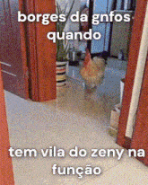 borges da gnfos quando tem vila do zeny na funcao