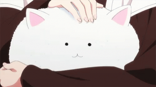 anime cat anime gif  WiffleGif