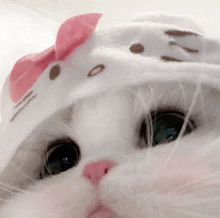 a white cat wearing a hello kitty hat with a pink bow