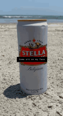 Stella Tinder GIF - Stella Tinder Beach GIFs