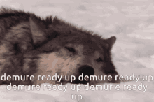 Demurewolf Wooba GIF - Demurewolf Wooba Wooba Ready Up GIFs