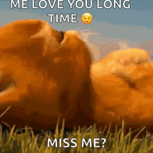 a teddy bear is laying in the grass with the words `` me love you long time miss me '' written above it .