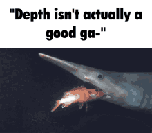 Goblin Shark GIF - Goblin Shark Goblin Shark GIFs