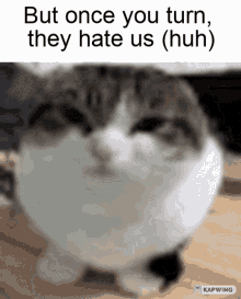 But Once You Turn They Hate Us Huh Enemy GIF