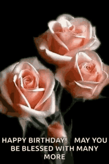 happy birthday roses flowers may you be blessed