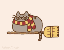 harry meower cats cat flying broom wizard cat