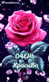 a pink rose is surrounded by green leaves and diamonds
