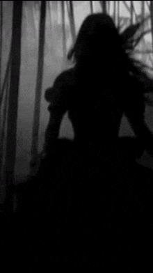 a black and white photo of a person 's head in a foggy forest with birds flying in the background .