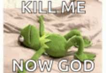 a kermit the frog is laying on its back on a bed with the words `` kill me now god '' .