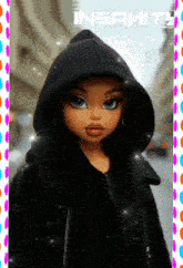 a doll wearing a black jacket and a black hoodie with the word insanity on the bottom