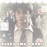 a picture of harry potter with the words harry ama a dani on the bottom