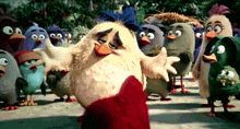 a group of angry birds are standing next to each other