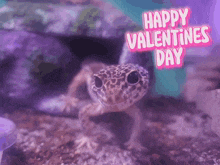 Gecko Valentine'S Day GIF - Gecko Valentine'S Day Yeti GIFs