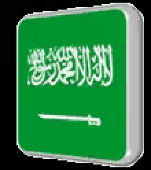 flags saudi