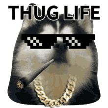 thug_life thug life chose me dogs