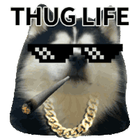 Thug_life Thug Life Chose Me Sticker - Thug_life Thug Life Chose Me Dogs Stickers