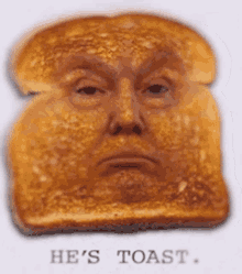 Trump Toast GIF - Trump Toast Maga GIFs