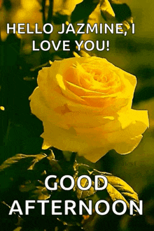 Greeting Good Afternoon GIF - Greeting Good Afternoon Roses GIFs