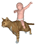 a baby in a diaper rides on the back of a cat