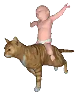 a baby in a diaper rides on the back of a cat